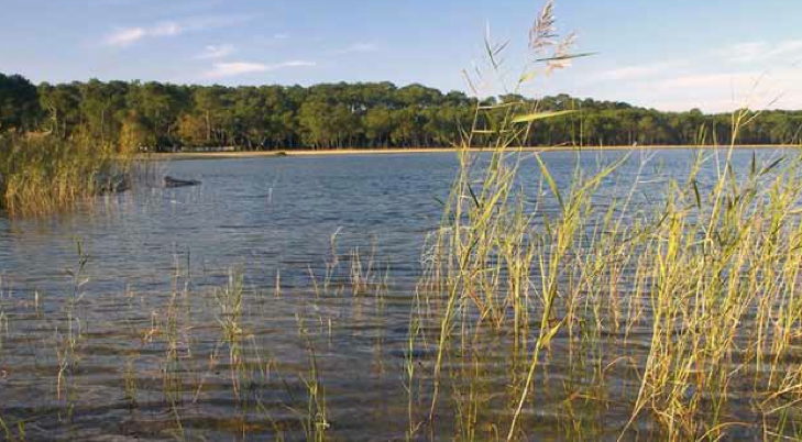 Dossier scientifique Environnement