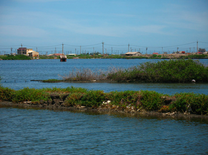 2012 Cheng Long Wetlands International Environmental Art Project