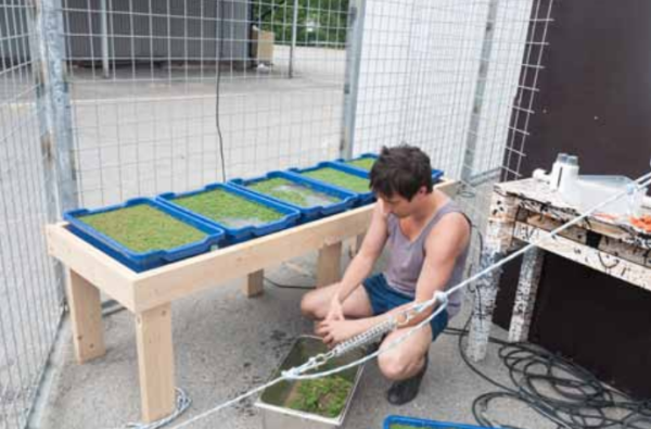 Super Meal, un projet d&rsquo;Erik Sjödin