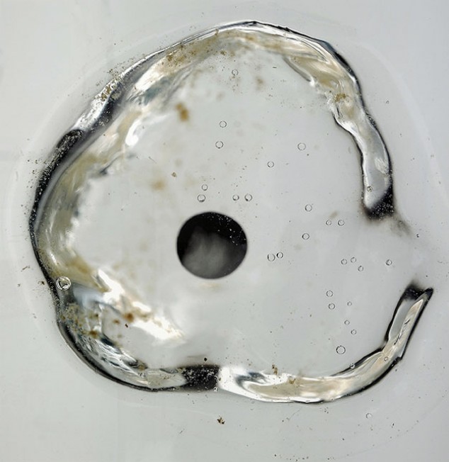 Brandon Ballengée © Laurence Godart 