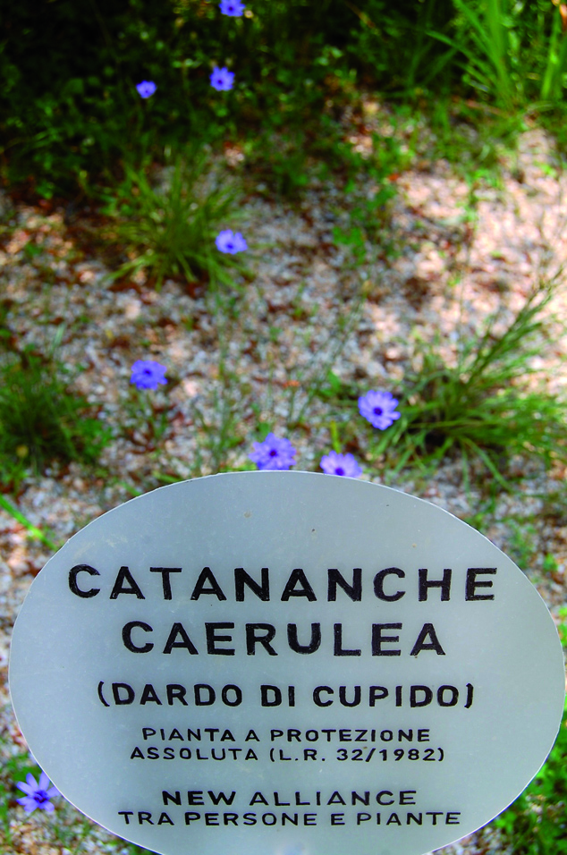 Critical Art Ensemble, New Alliances, 2011-2012, DVD Video, 47’