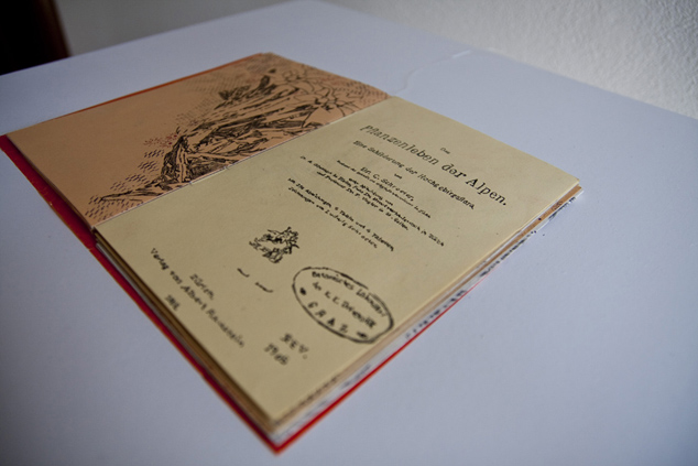 Gabriella Ciancimino, Mixture of plants, 2012, Installation sonore, 4 canaux audio, 5'56, livre réalisé à la main