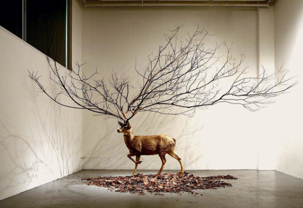 Exposition « In Wonder » – Kim Myeongbeom – Galerie Paris-Beijing, Paris
