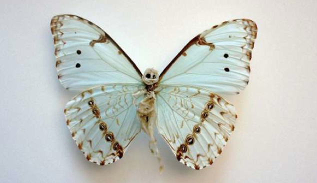 8ème édition du Festival d&rsquo;Art Contemporain au Château de Fernelmont