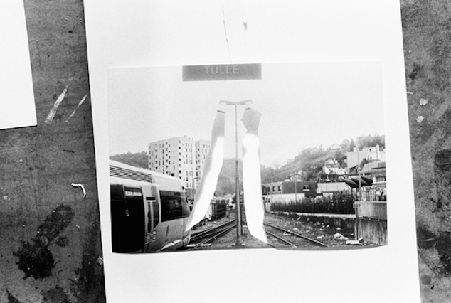 Extrait de Photographies d'Eric Poitevin Oiseaux 2013, réalisées dans le cadre de la résidence du Vent des Forêts.