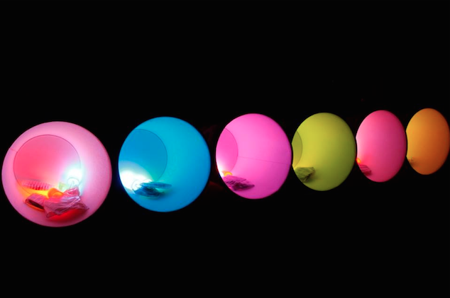 Les résultats de l&rsquo;étude « Sustaining Creativity »