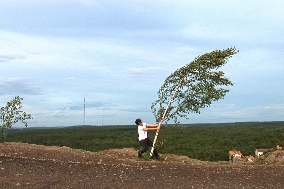 Exposition « D&rsquo;après nature » à l&rsquo;Institut Suédois
