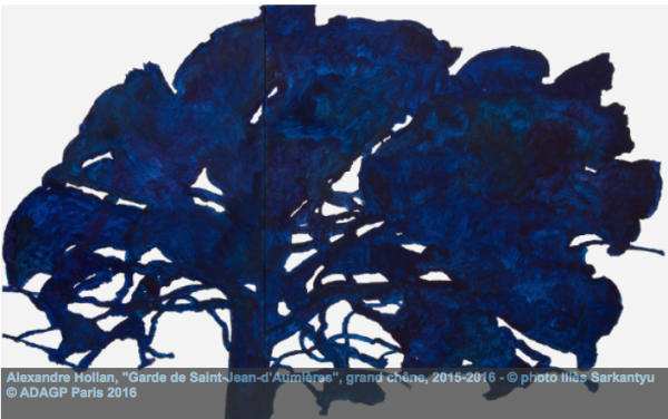 Exposition hors-les-murs du musée de Lodève : « Questions aux arbres d’ici »