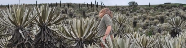 Projet et résidence d&rsquo;artistes « Art Education Lab »