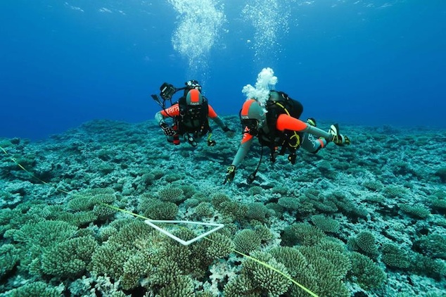 Documentaire « Tara, L’odyssée du corail »