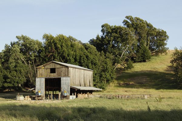 Symposium Hyper-Rural : the end of Urbanism ?