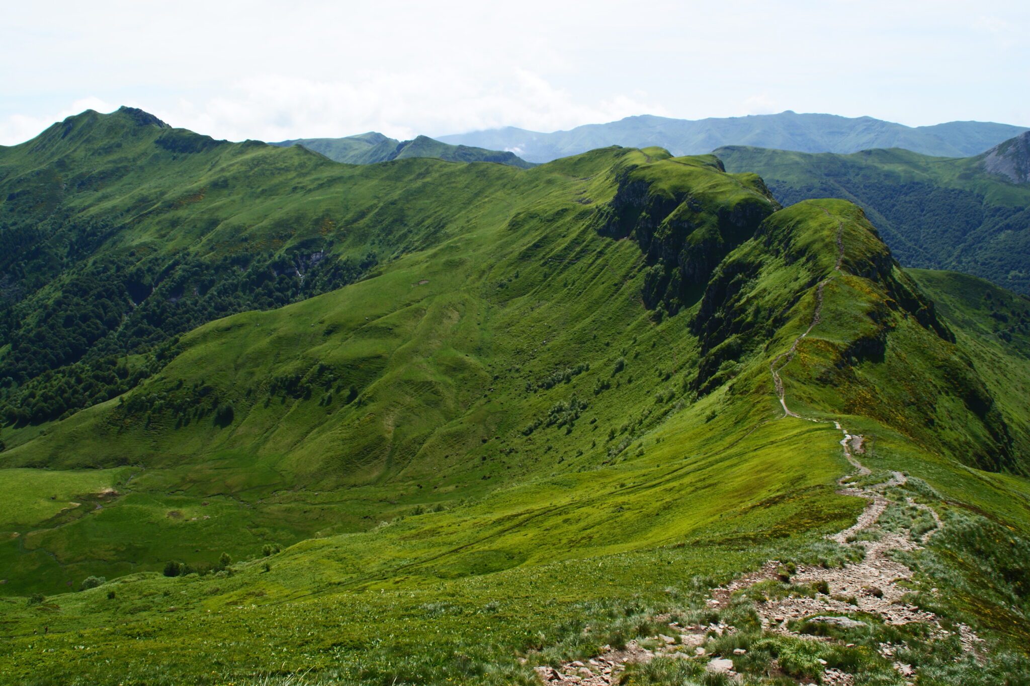 Transhumance vers 2042